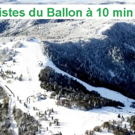 Hangy & Appartement *